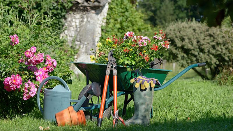Most Essential Gardening Tools for Beginners