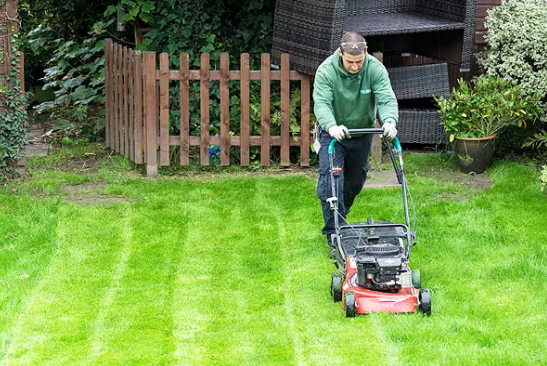 Garden Maintenance