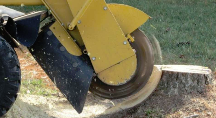 Stump Grinding