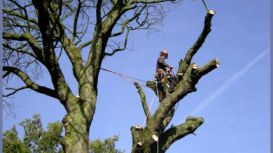 Urmston Tree Surgeon