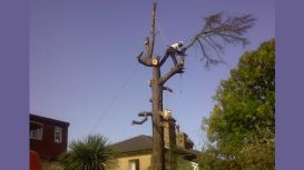 Glasgow Tree Surgeons