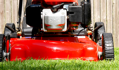 Grass Cutting & General Maintenance