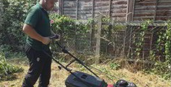 Lawn Mowing