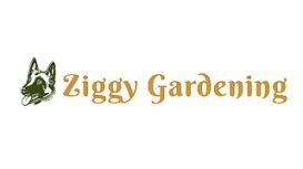 Ziggy Gardening