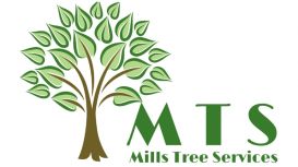 Mills Tree Services