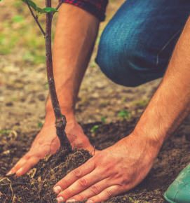 Soil Turfing Composting