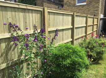 Fencing Services & Fence Repairs