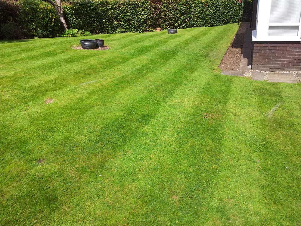 Grass Cutting & General Maintenance