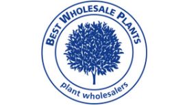 Best Wholesale Plants