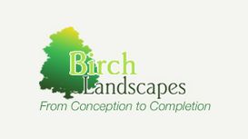 Birch Landscapes