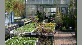 Chalk Farm Nurseries