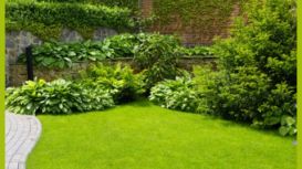 Greenday Garden Services