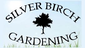 Silver Birch Gardening